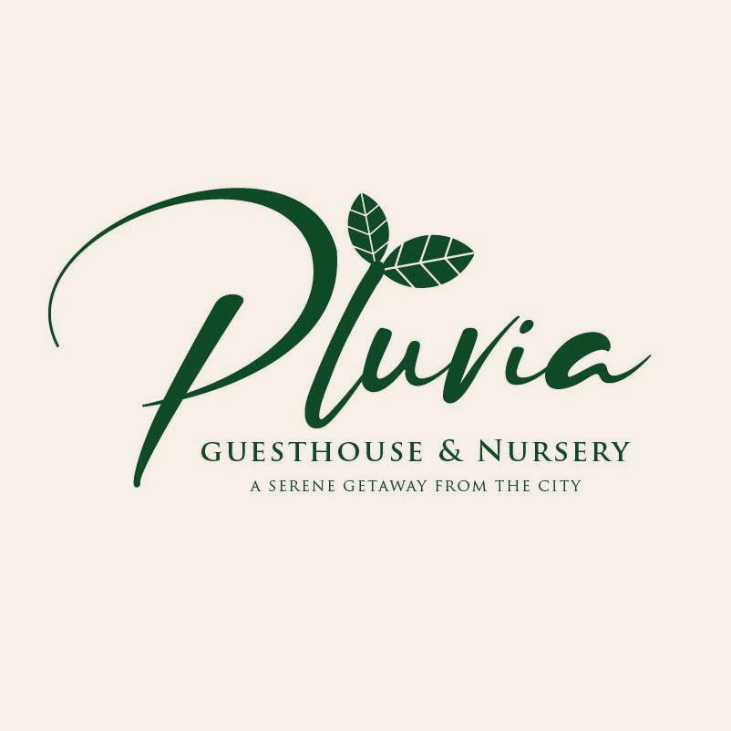 Pluvia